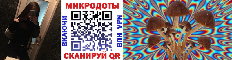 Галлюциногенные грибы Magic Shrooms  что такое наркотик  кракен зеркало  Трубчевск 