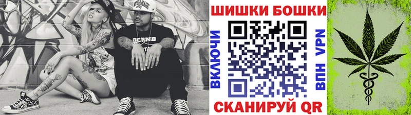 Бошки марихуана сатива  как найти закладки  Трубчевск 